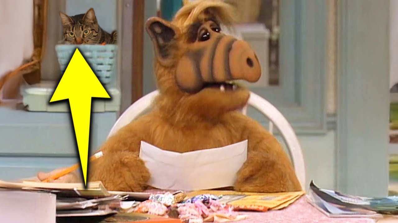 ALF (1986) 20 Weird Facts You Didn't Know! - YouTube