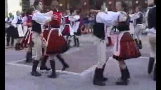 Bró-Aprilly-Diákok Búzavirág Tánccsoport Bécs 2006 Iv..wmv