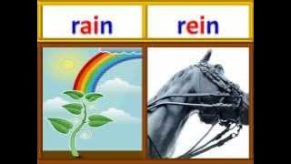 Step 38 Homonyms . Part 1. 50 Words