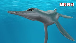New Species of Tiny Plesiosaur Discovered | 7 Days of Science