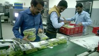 Top Labelling Machine Top Surface Label Applicator Machine