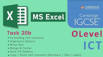 IGCSE O Level ICT Task 20b