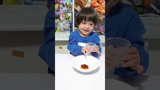 はじめてのプッチンプリンではじめ大喜び!#shorts #hajime #はじめくん