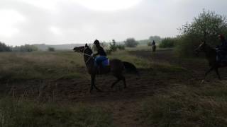 20170504 083440