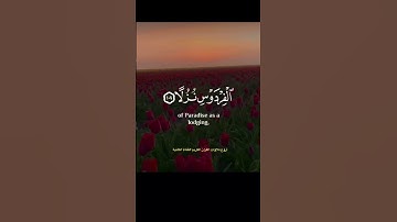 كانت لهم جنات الفردوس نزُلاً-تلاوة خاشعة 😢