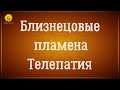 Близнецовые пламена телепатия. Близнецовые пламена ментальная связь. Близнецовые пламена связь.