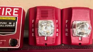 Fire alarm system test on my MS-10UD