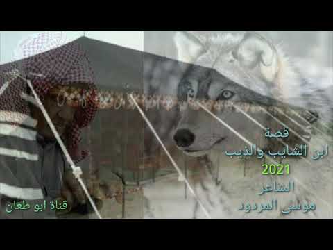 قصيدة الذيب والابن موسى المردود 