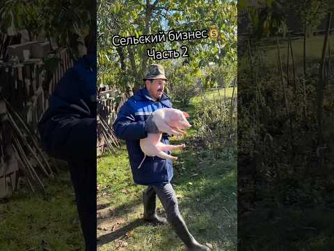 Сельский бизнес Часть