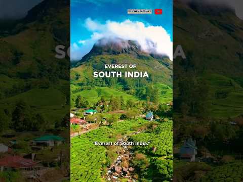 Anamudi Mini Travel Vlog | Highest Peak of South India