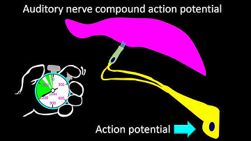 Electrocochleography for clinical neurophysiologist