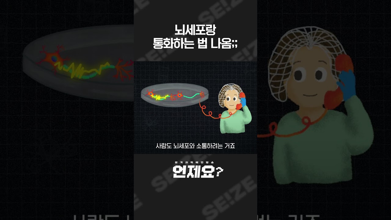 여보세요? 뭐라고요?