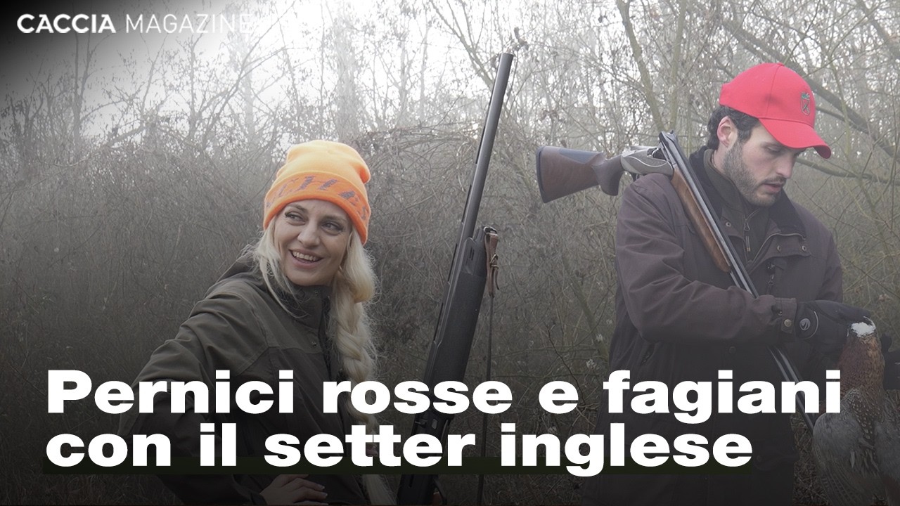 Caccia al fagiano e alla pernice rossa con Federica Voltattorni