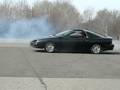 94 camaro Z28 stuntin