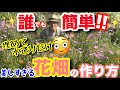 【〇〇作って埋めるだけ‼️】子どもでも作れちゃう、上級者の花畑🌼高い苗を買う必要もありません☝️種1袋でOK🙆♀️難しい種まきも、発芽後の間引きも必要なし/ 放置で花畑を手に入れよう【ガーデニング】
