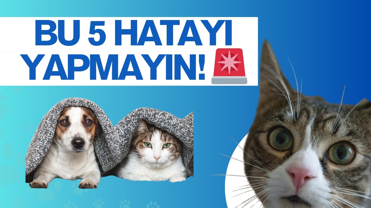 Evcil Hayvanınızın Ömrünü İstemeden Kısaltan 5 Hata