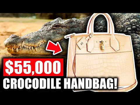 A LOOK AT LOUIS VUITTON $55,000 CROCODILE HANDBAG! 