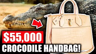 A LOOK AT LOUIS VUITTON $55,000 CROCODILE HANDBAG!