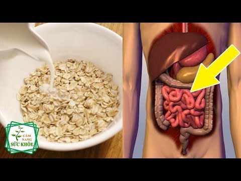 Video Đây Là Điều Xảy Ra Nếu Bạn Ăn Bột Yến Mạch Vào Buổi... - youtube