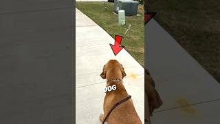 This Was So Unexpected