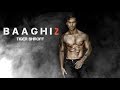 Download Baaghi 2 in HDRip