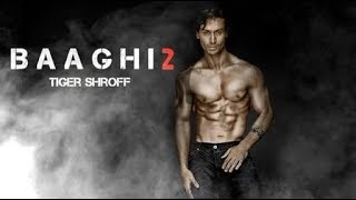 Download Baaghi 2 in HDRip screenshot 3
