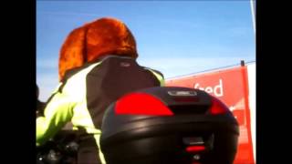 sheffield egg run 2013 part1