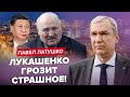 ⚡️ЛАТУШКО: Лукашенко РАСПЛАКАЛСЯ! Испугали в КИТАЕ? / Путин ПРОКОЛОЛСЯ и тут / Беларуси ГРОЗИТ ЭТО