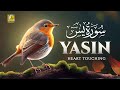 Ultimate Relaxing recitation of Surah Yasin (Yaseen) سورة يس | Zikrullah TV