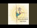 Guided Meditation