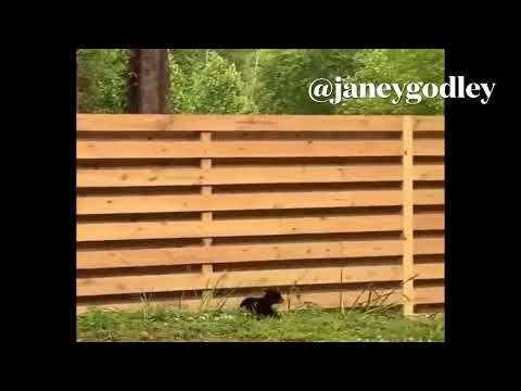 “I’m run ragged, get off that fence”