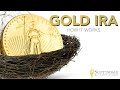 Guide to Gold IRA: How It Works 🪙