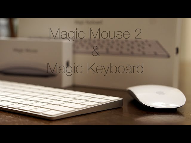 Apple Magic Mouse2 + Magic Keyboard