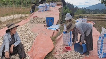 Hunb no yawm qos muag peb yuav mu tsev mu noj peb caug lawm os 