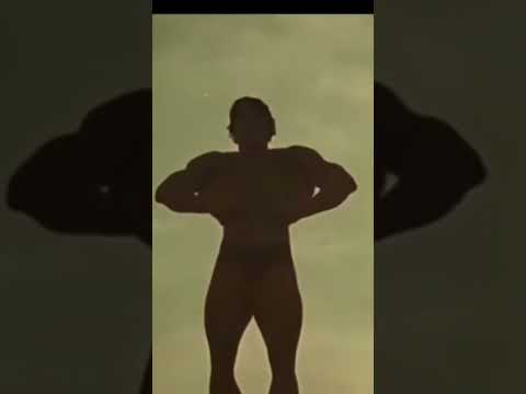 Arnold Schwarzenegger edit