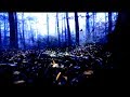 Hammock - Mouth to Dust... Waiting
