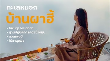 ทะเลหมอก บ้านผาฮี้ บ้านอาข่า เชียงราย | ดอยช้างมูบ | สวนคุณปู่ | ไร่ชาฉุยฟง | BYD Atto3 