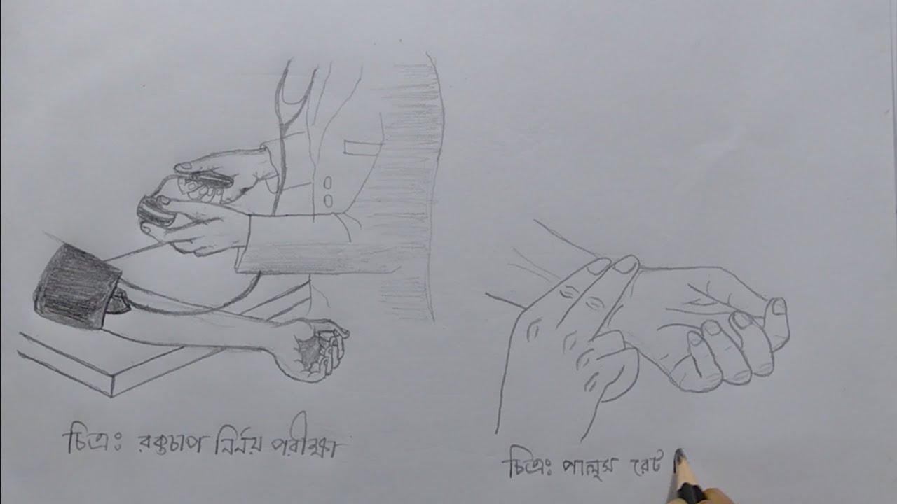 রক্তচাপ ও পারল রেট নির্নয় পরীক্ষা(Blood pressure and pulse rate