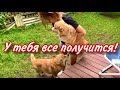 ОБУЧАЕМ СОБАК залезать на крыльцо 🤓УМОРА 🤣 что Мы купили? VLOG ❤️️