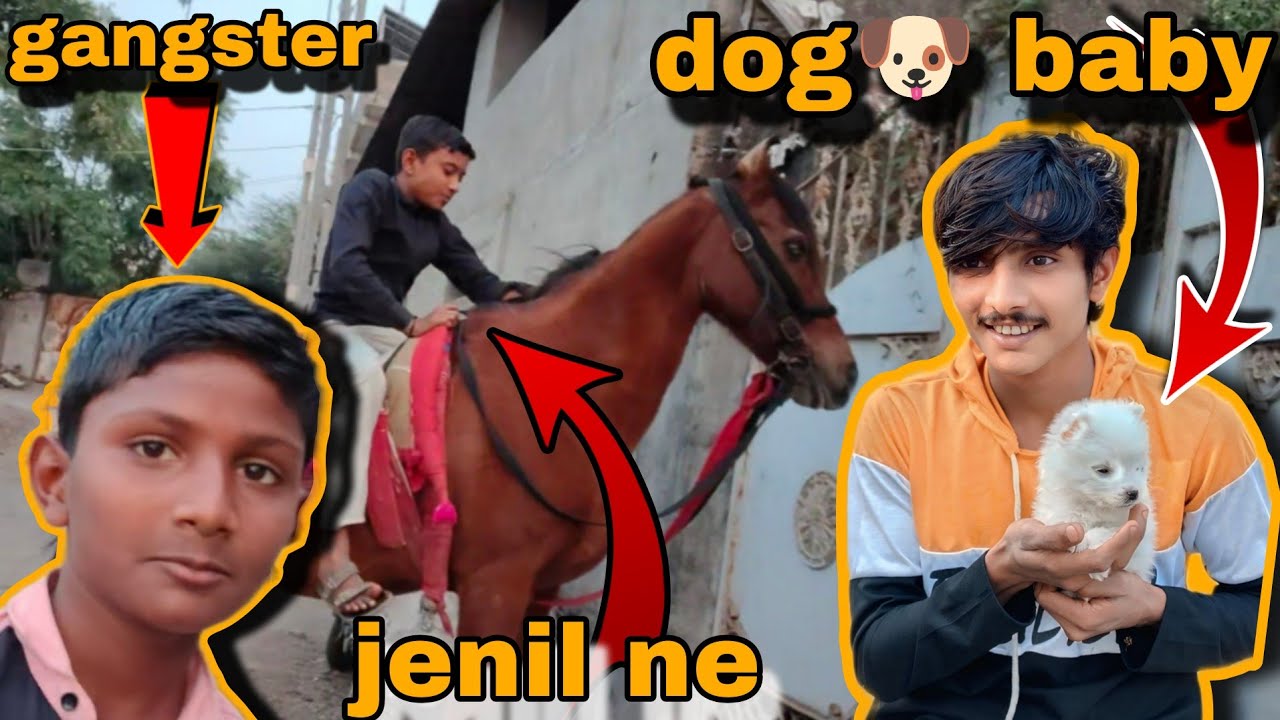 Jenil aahe rani upr thi padyo