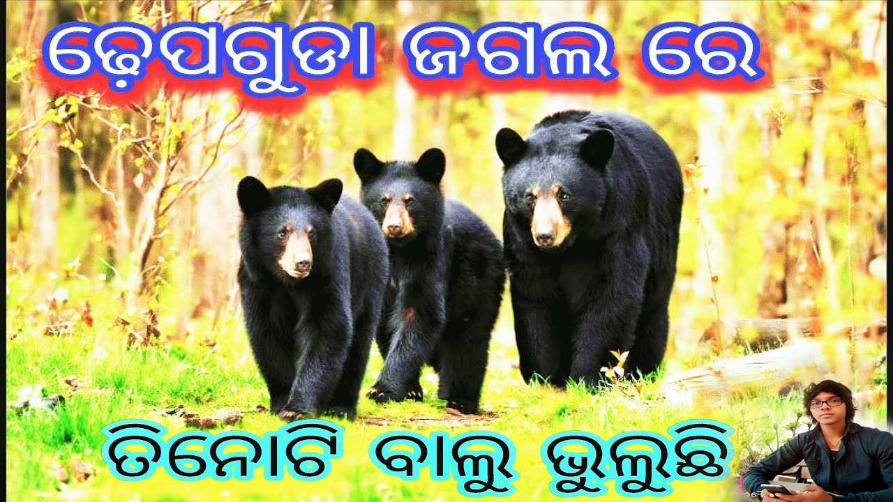 The Jungle Adventure That Inspired National Geographic