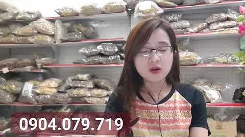 CÂY DỪA CẠN HỖ TRỢ ĐIỀU TRỊ UNG THƯ MÁU