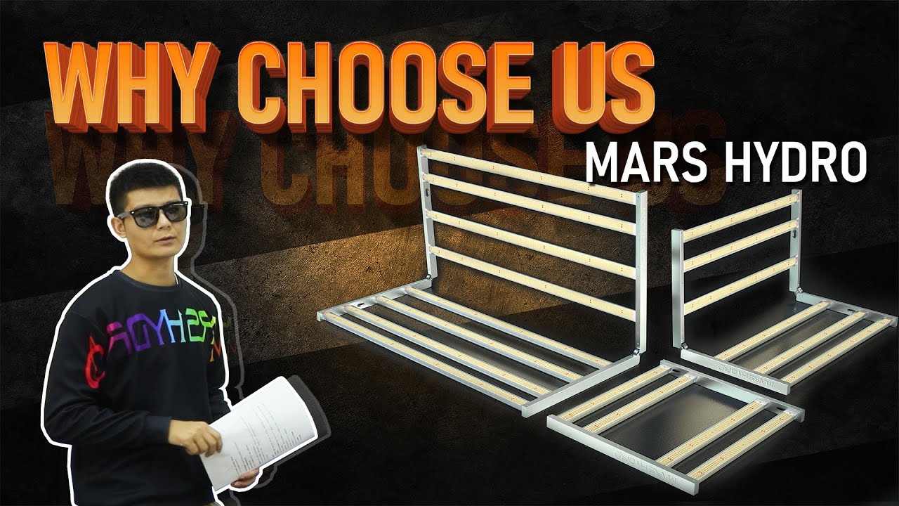 How To Choose The Best LED Grow Light LED Grow Light Manufacturer