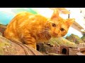 日曜日のジオラマ食堂！Sunday's diorama restaurant was a blast with customers and cats! Thank you very much!