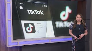 Shreveport-Bossier moms weigh in on a possible world without TikTok
