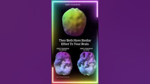 Your Brain On Pornography