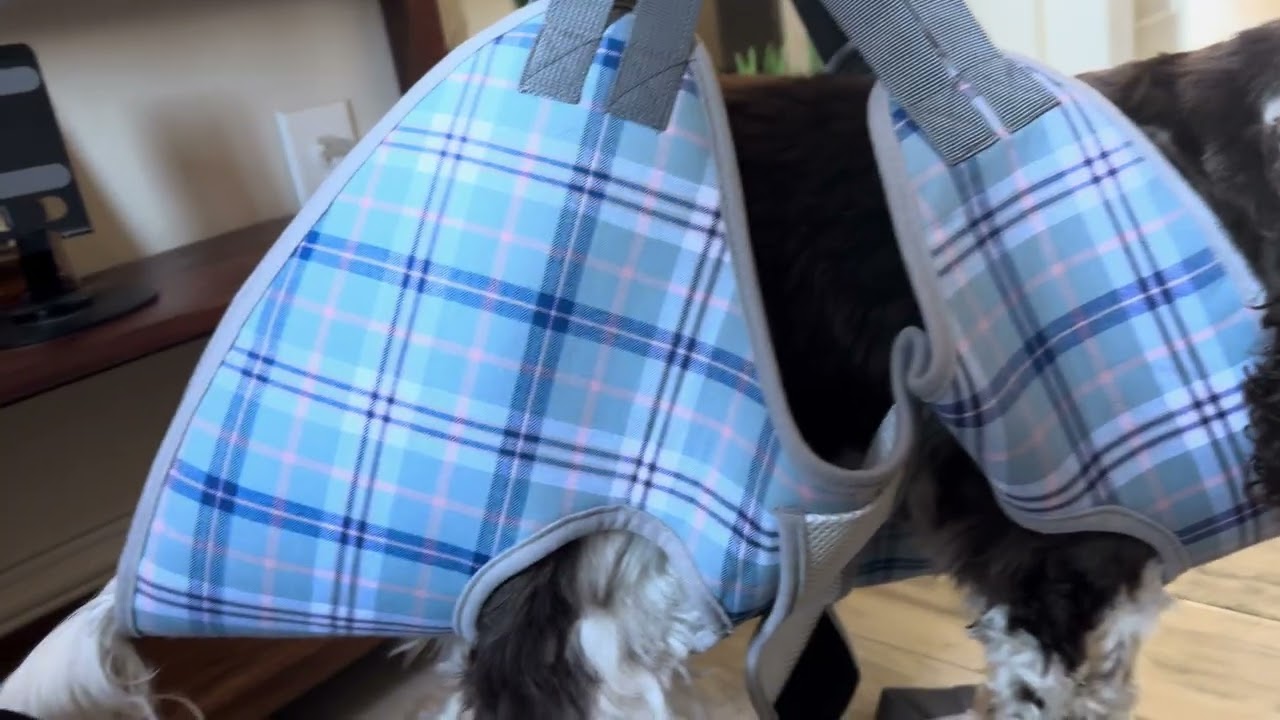 Dog Grooming Hammock: Stress-Free Nail Trimming Made Easy! 🐾✨