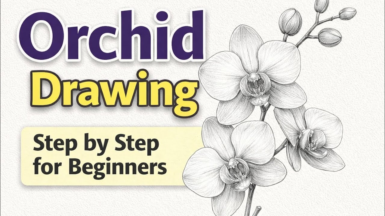 Realistic Orchid Flower Drawing 🌸 | Step by Step Pencil Sketch for Beginners