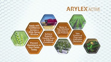 Arylex™ active - mod de acțiune