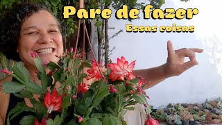 DICAS SIMPLES e sua flor de maio nunca mais vai APODRECER, nem cai as folhas